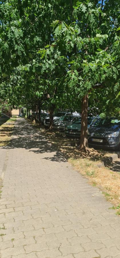 Apartmán Ybs Apartman Zalaegerszeg Exteriér fotografie